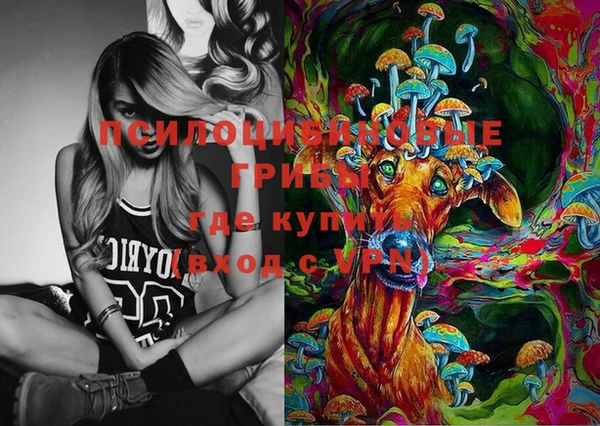 амф Абаза