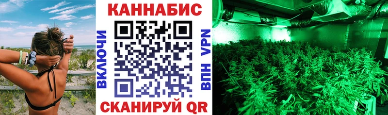 купить закладку  Тарко-Сале  Канабис ГИДРОПОН 